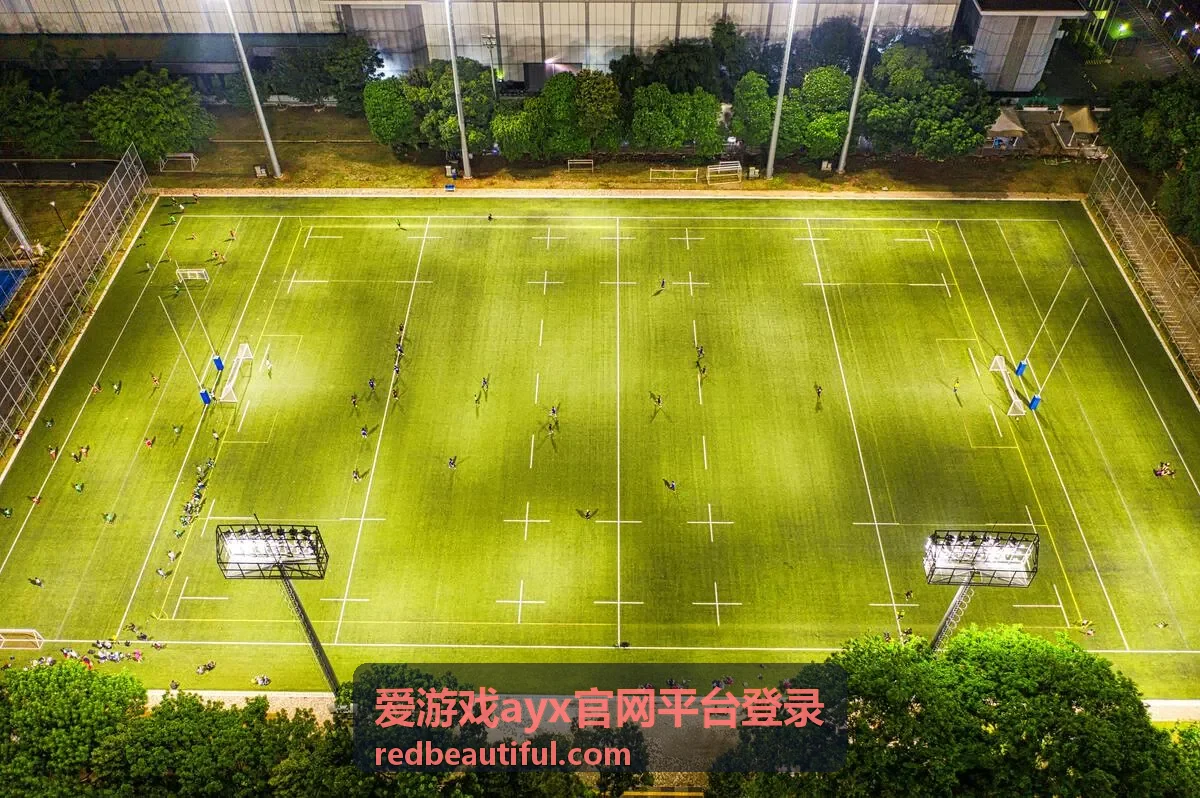 爱游戏ayx官网平台登录网页端登录步骤说明配图