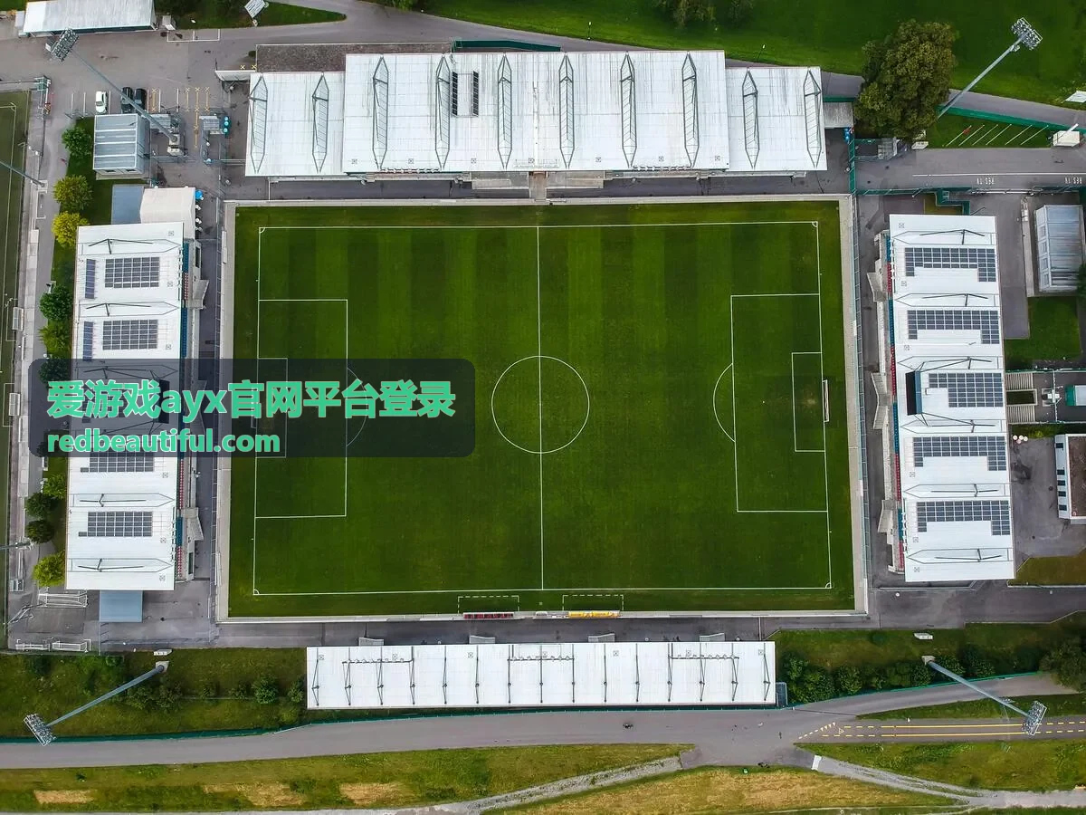 爱游戏ayx官网平台登录手机端扫码登录说明配图