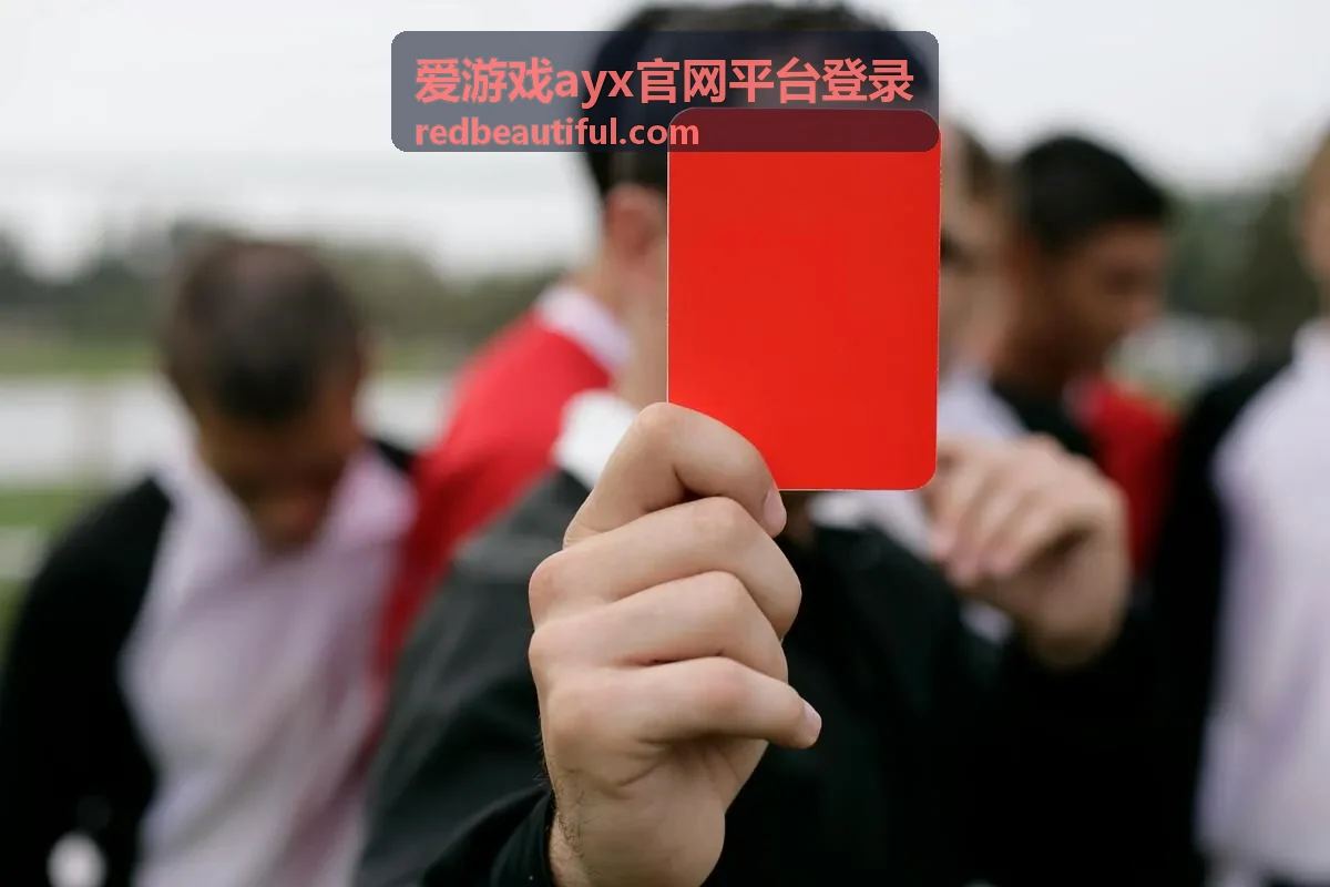 爱游戏ayx官网平台登录密码重置流程说明配图