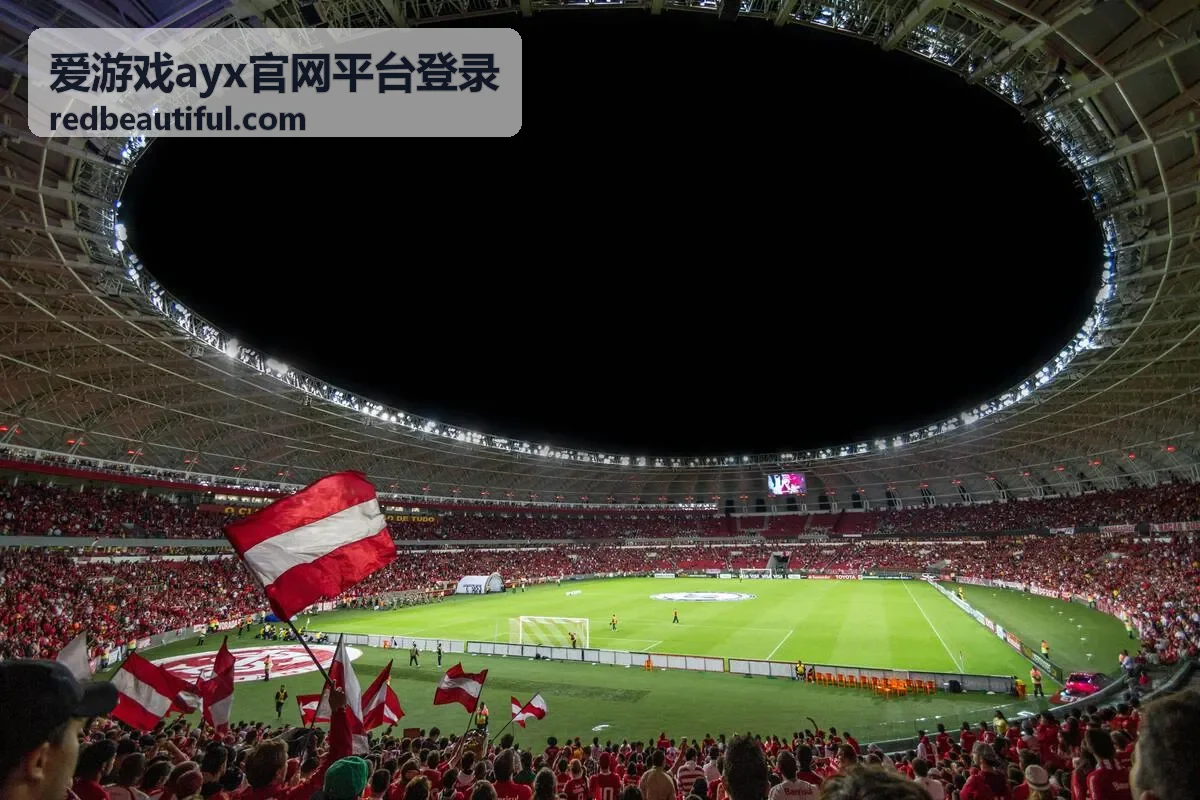 爱游戏ayx官网平台登录异地登录提醒说明配图