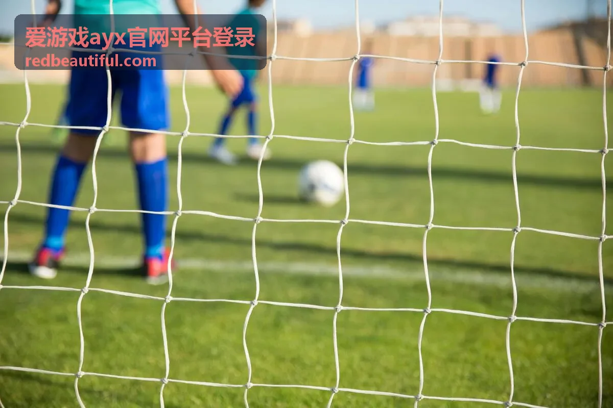 爱游戏ayx官网平台登录设备管理说明配图