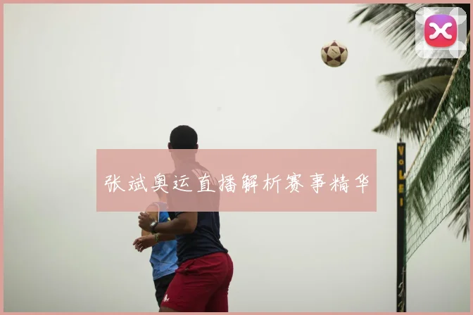 张斌奥运直播解析赛事精华