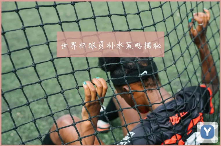 世界杯球员补水策略揭秘