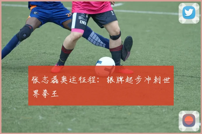张志磊奥运征程：银牌起步冲刺世界拳王