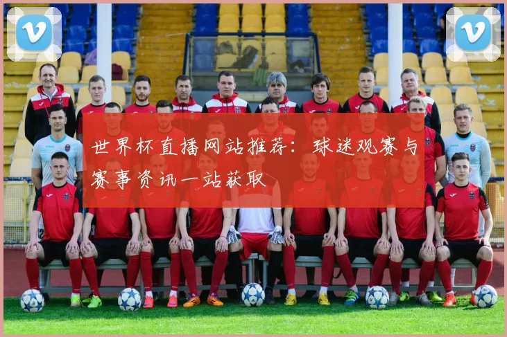 世界杯直播网站推荐：球迷观赛与赛事资讯一站获取