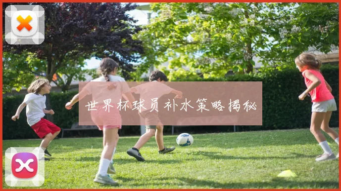 世界杯球员补水策略揭秘