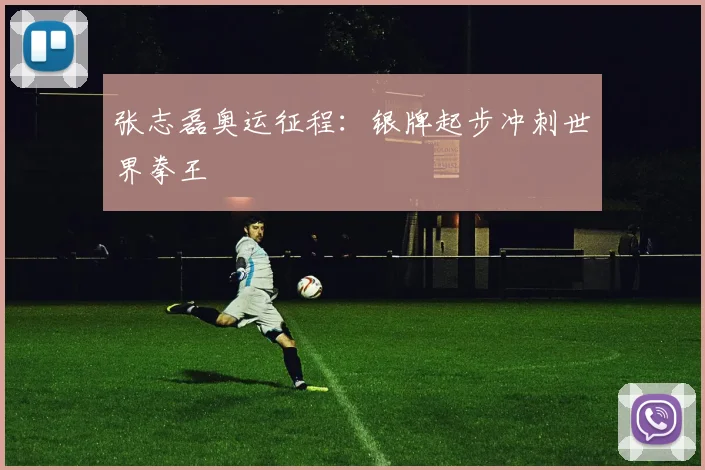 张志磊奥运征程：银牌起步冲刺世界拳王