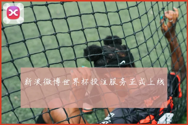 新浪微博世界杯投注服务正式上线