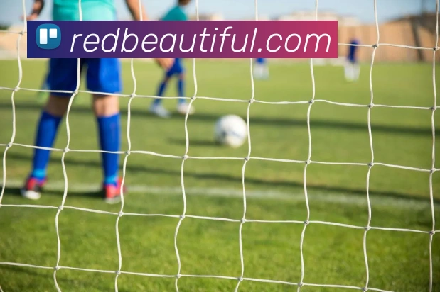 hth登录官网APP 封面图